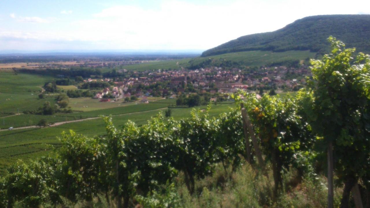 Apartment Gîtes&chambes D'hôtes Fugler